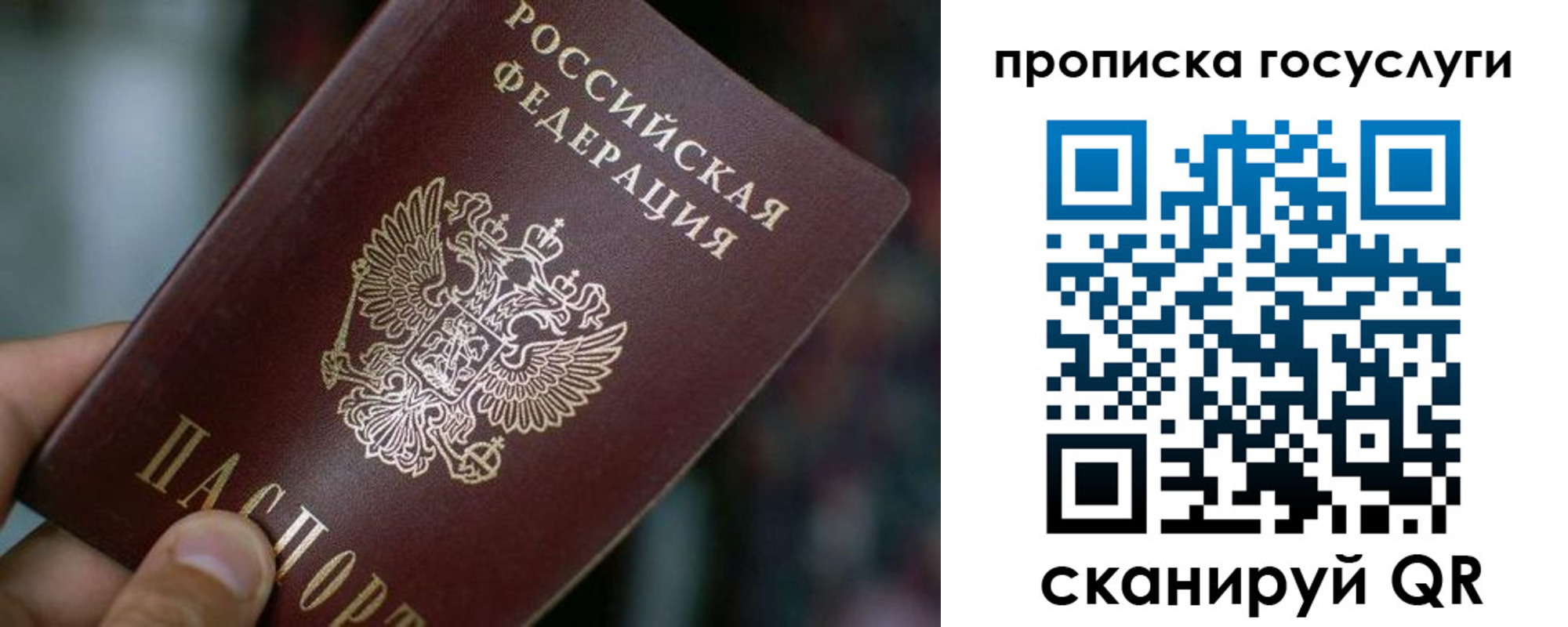 временная регистрация гарантия в Снежинске